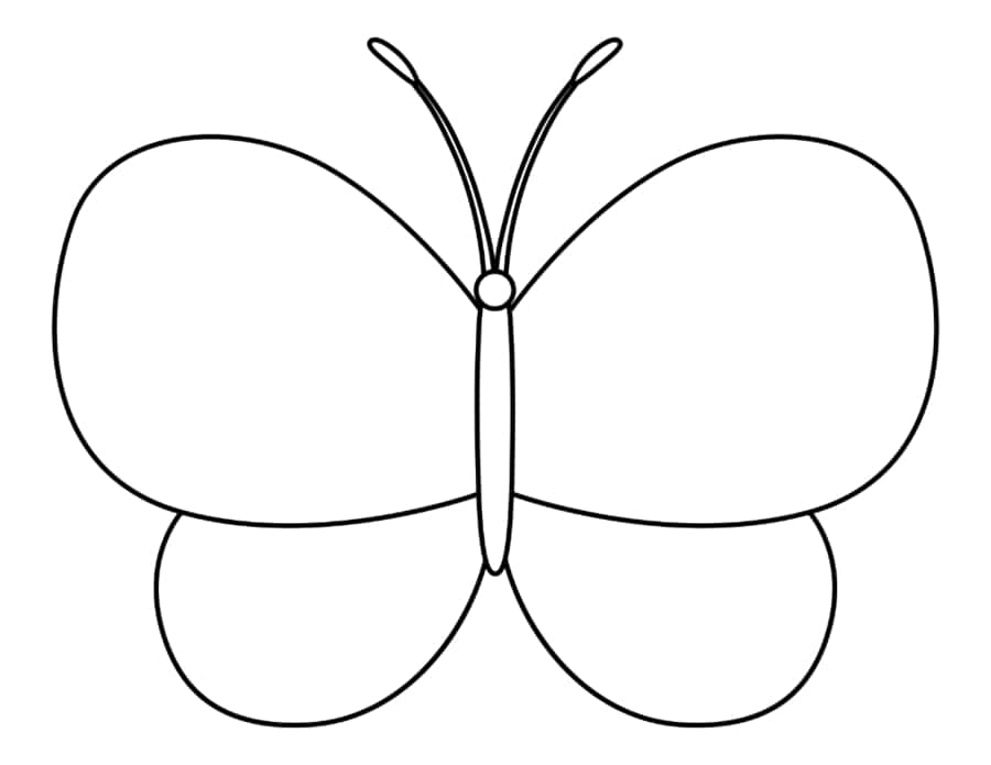 Butterfly Black Outline Coloring Pages Pdf Free Vectors